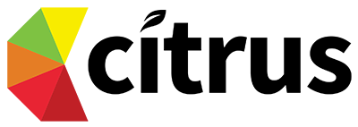Logo eines Unternehmens für IT-Services